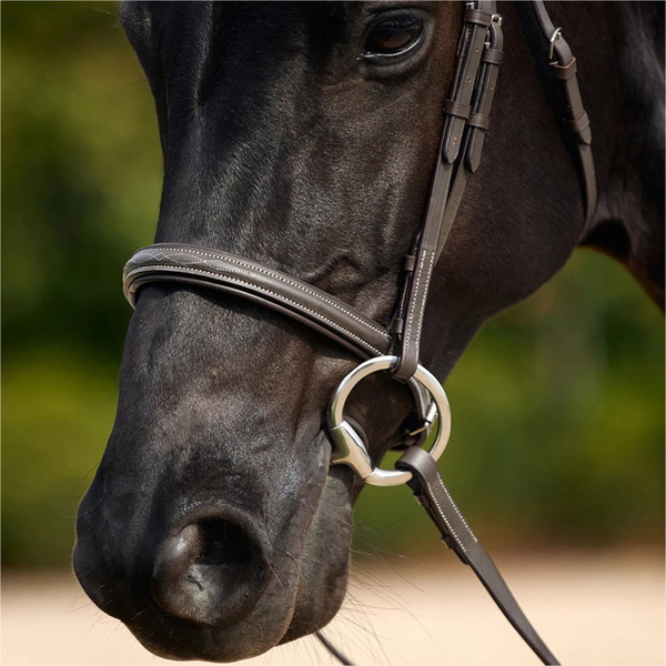 2026 Dublin Padded Mono Crown Fancy Stitch Hunt Bridle 1031496 - Brown